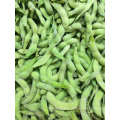 IQF Frozen Organic Edamame Manufacturer